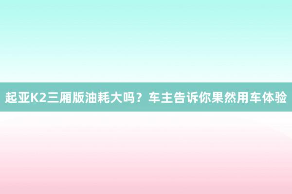 起亚K2三厢版油耗大吗？车主告诉你果然用车体验